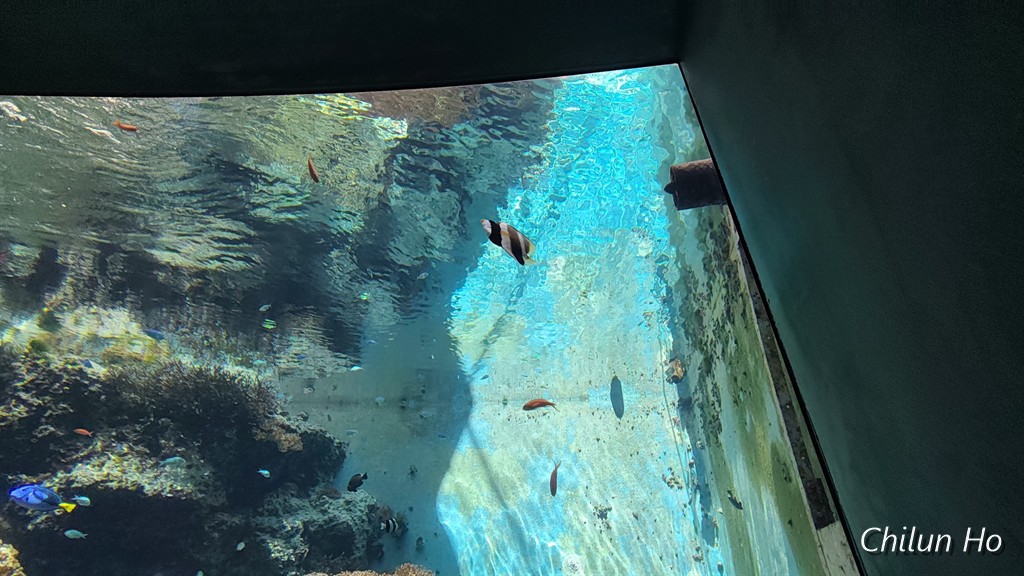 沖縄美ら海水族館